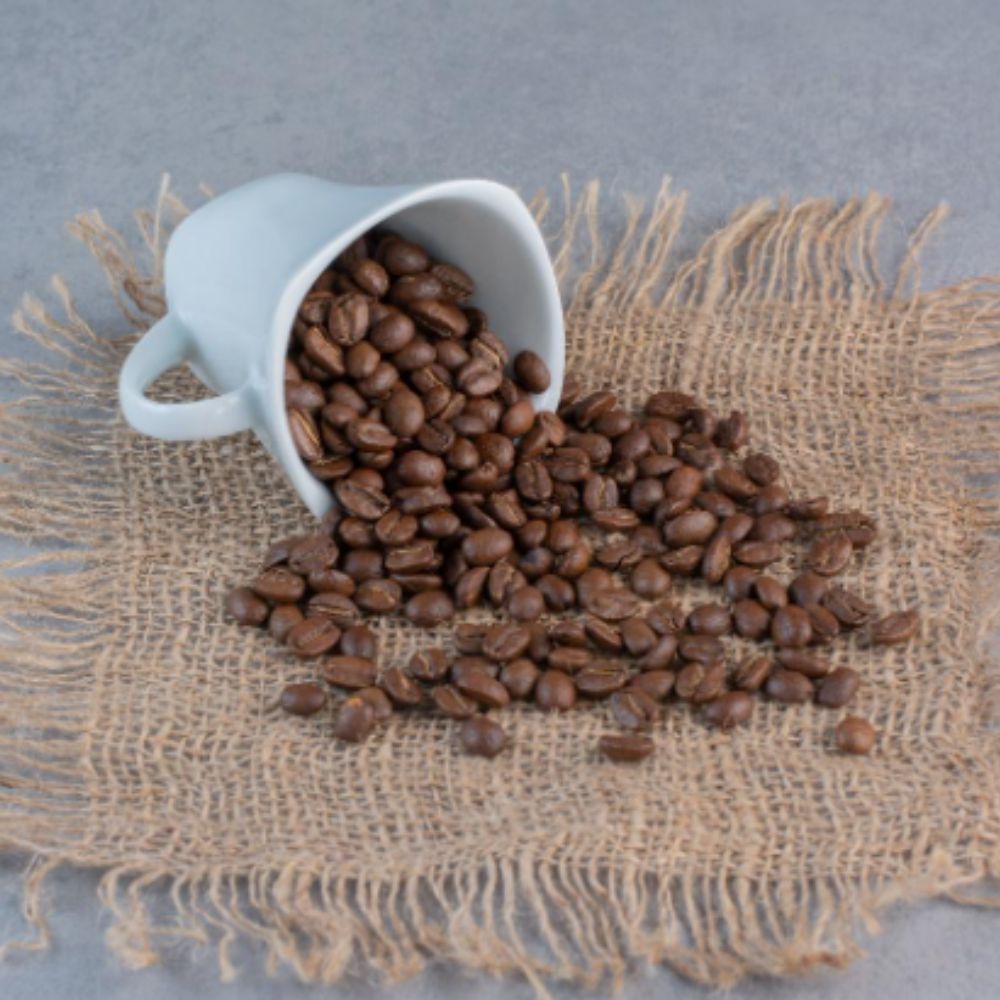 How Koru Coffee Ships Their Beans by Sailboat and Why It Makes Them Stand Out